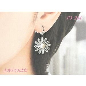 画像: F3-244　ガーベラピアス